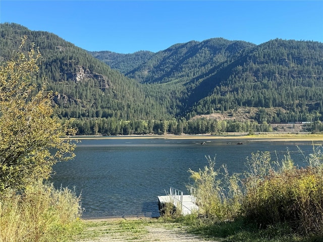 view of water feature featuring a mountain view and a wooded view