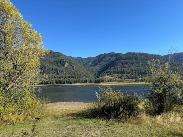 view of mountain feature with a forest view and a water view