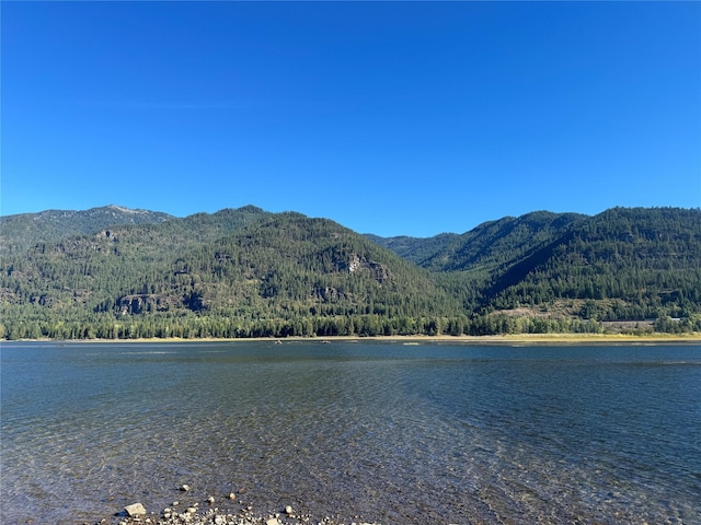 view of water feature with a forest view and a mountain view