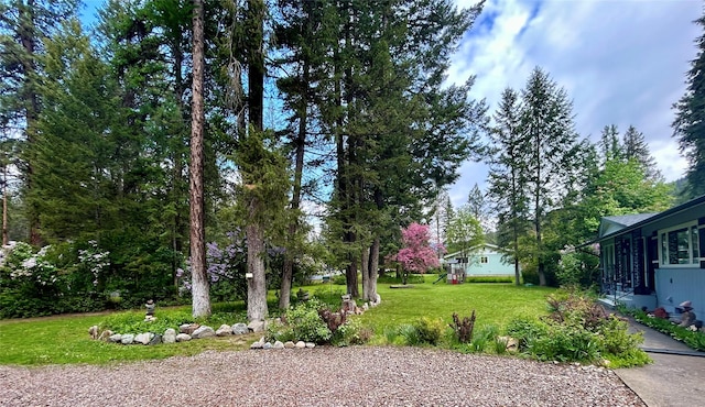 1103 Greers Ferry Rd, Libby, MT 59923 - view of green lawn