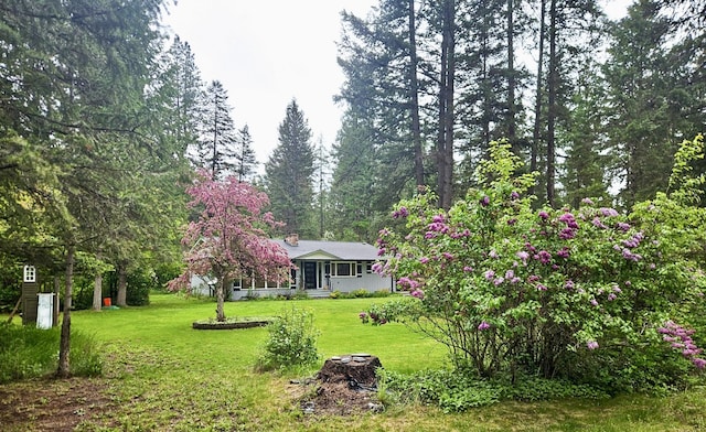 1103 Greers Ferry Rd, Libby, MT 59923 - view of grassy yard