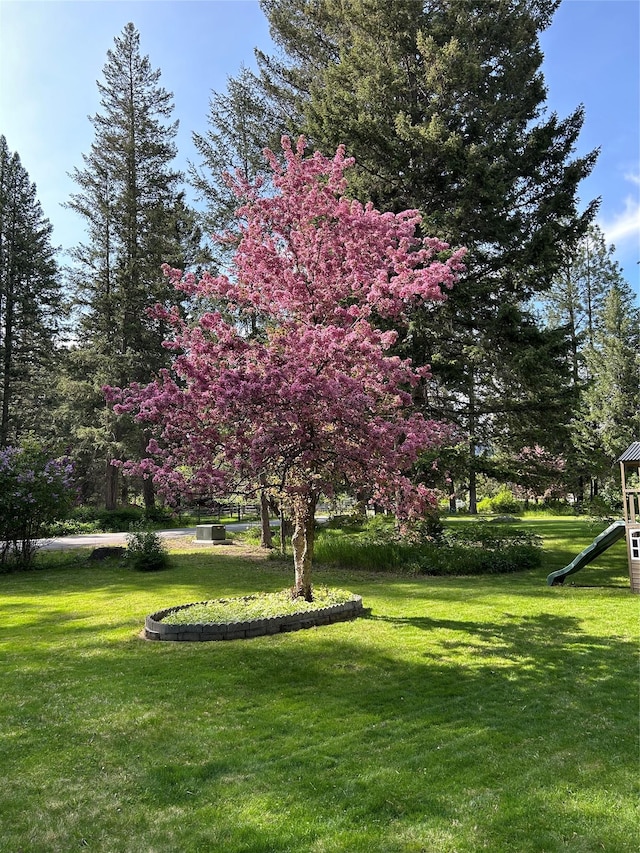 1103 Greers Ferry Rd, Libby, MT 59923 - view of green lawn featuring a playground