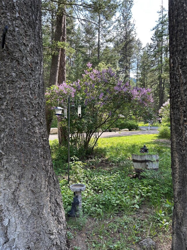 1103 Greers Ferry Rd, Libby, MT 59923 - view of yard