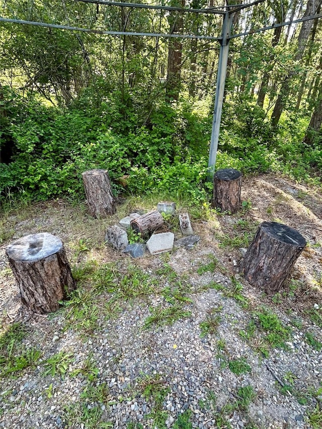 1103 Greers Ferry Rd, Libby, MT 59923 - view of yard