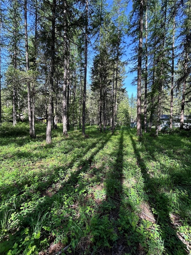 1103 Greers Ferry Rd, Libby, MT 59923 - view of yard