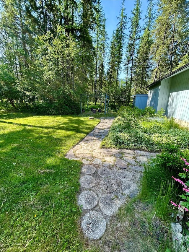 1103 Greers Ferry Rd, Libby, MT 59923 - view of green lawn