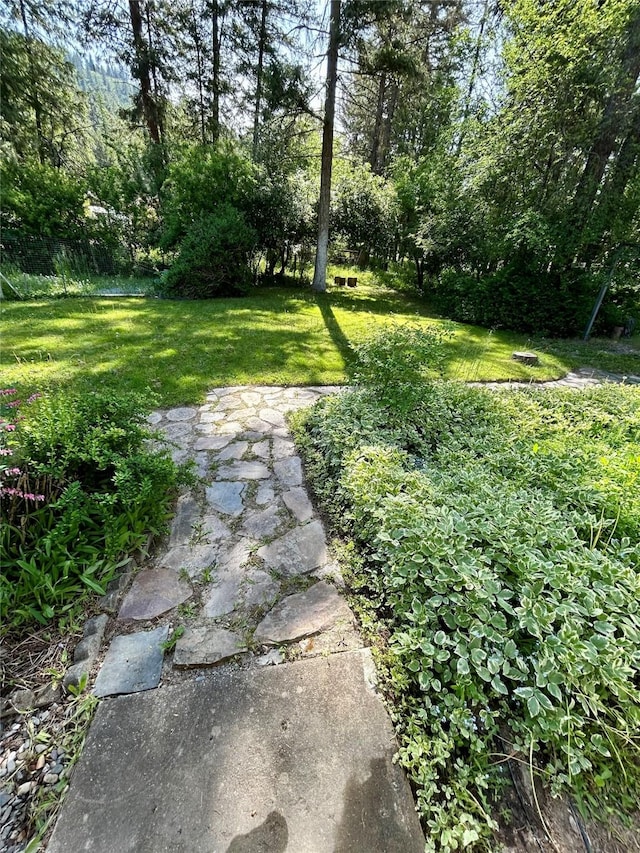 1103 Greers Ferry Rd, Libby, MT 59923 - view of green lawn
