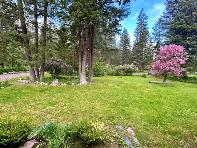 1103 Greers Ferry Rd, Libby, MT 59923 - view of grassy yard