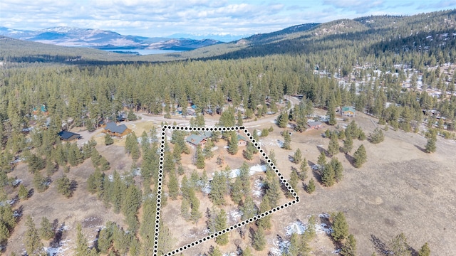 drone / aerial view featuring a forest view and a mountain view