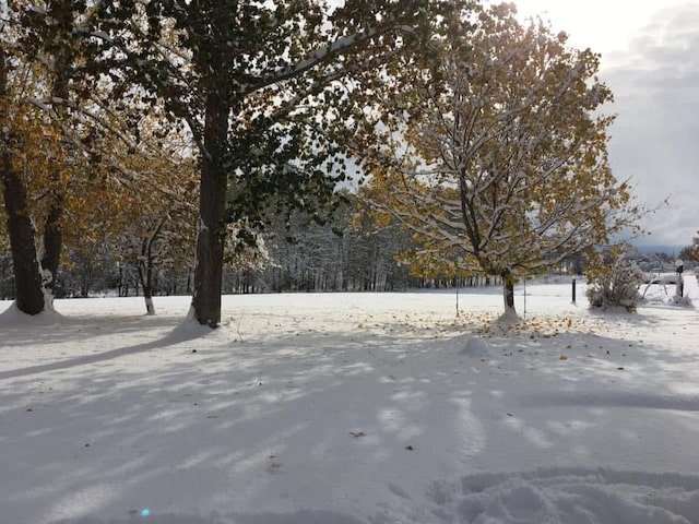 view of yard layered in snow