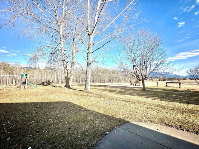 view of yard featuring playground community