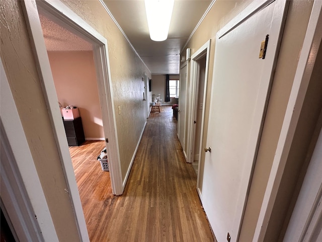 corridor with crown molding, a textured wall, and wood finished floors