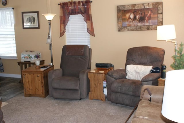 living area with baseboards and carpet floors