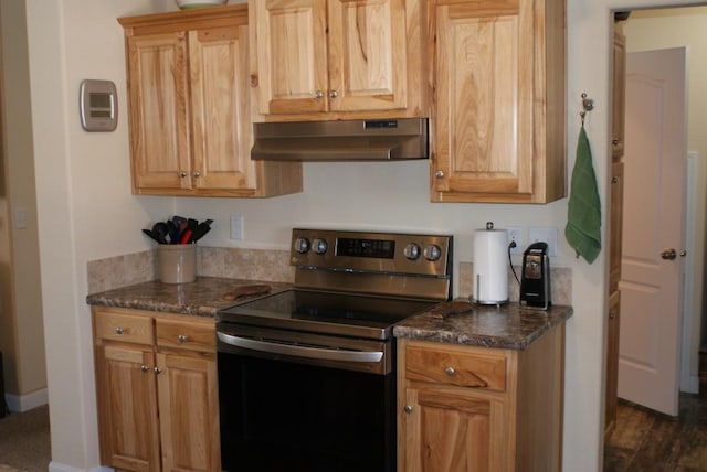 kitchen featuring under cabinet range hood and stainless steel range with electric cooktop