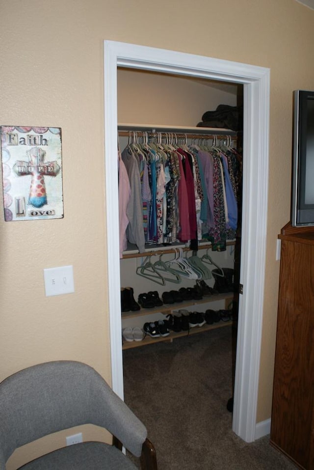 view of closet