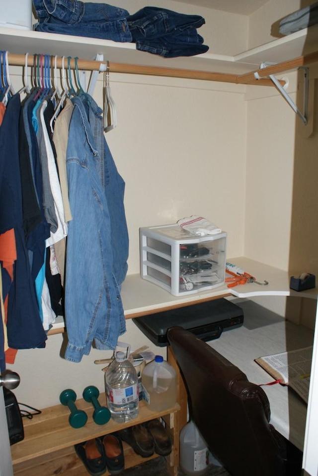 view of spacious closet