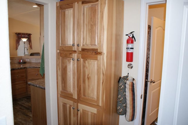 hallway with dark wood-type flooring