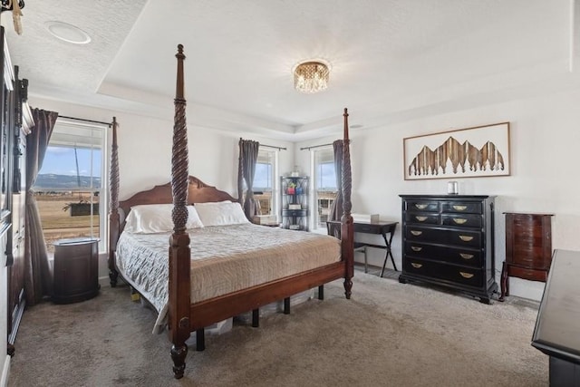 bedroom featuring a textured ceiling, a raised ceiling, and carpet floors