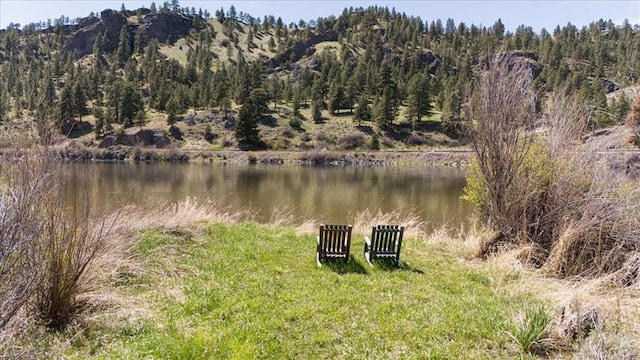 water view with a wooded view