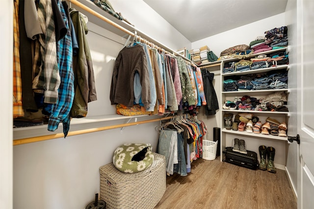 walk in closet featuring wood finished floors