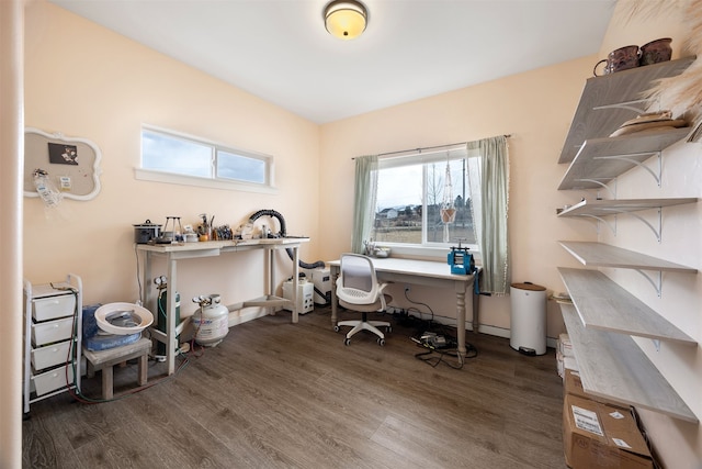 office featuring wood finished floors and a wealth of natural light