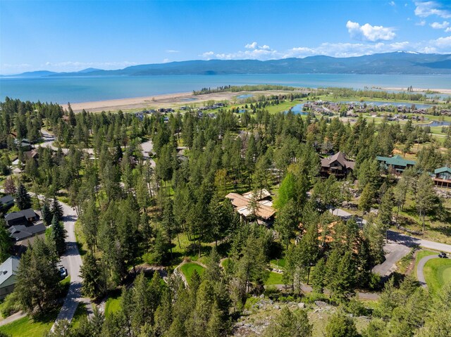 drone / aerial view with a water and mountain view