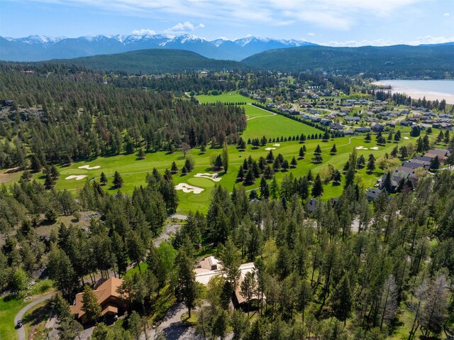 birds eye view of property with a view of trees and a water and mountain view