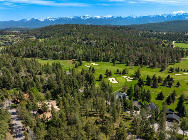 bird's eye view with a mountain view and a forest view