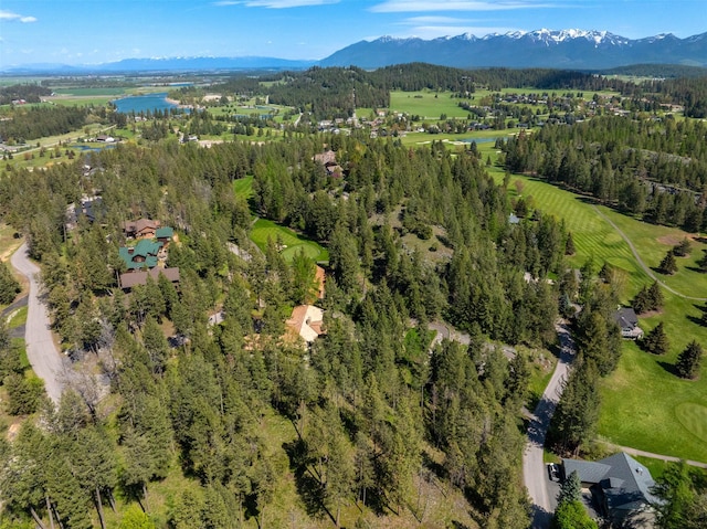 bird's eye view featuring a forest view and a mountain view