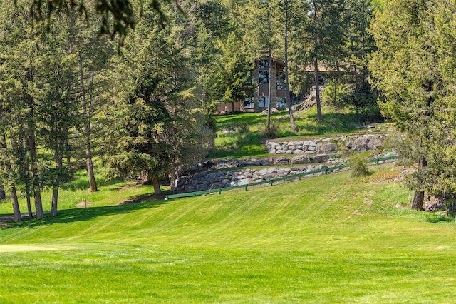 view of property's community featuring a lawn