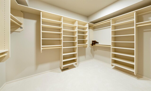 spacious closet featuring carpet flooring