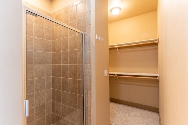 119 Oak St, Whitefish, MT 59937 - bathroom with a spacious closet and a stall shower
