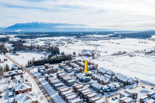 119 Oak St, Whitefish, MT 59937 - snowy aerial view with a mountain view