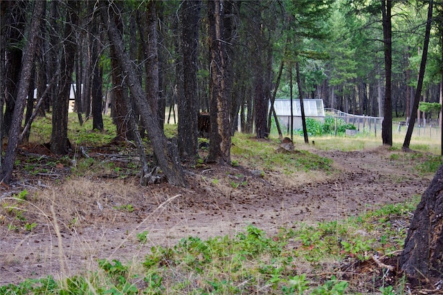 view of local wilderness with a forest view