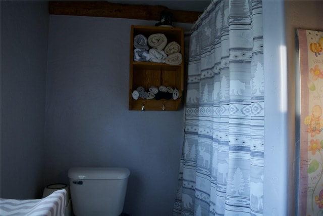 full bathroom featuring a shower with curtain and toilet