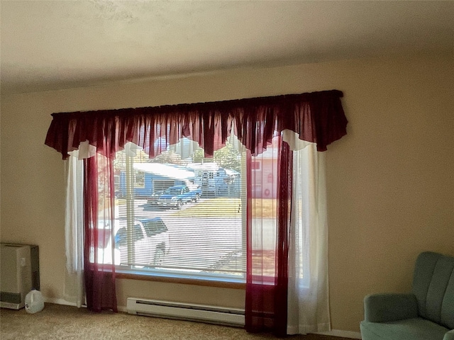 1408 Nevada Ave, Libby, MT 59923 - detailed view of baseboard heating and carpet