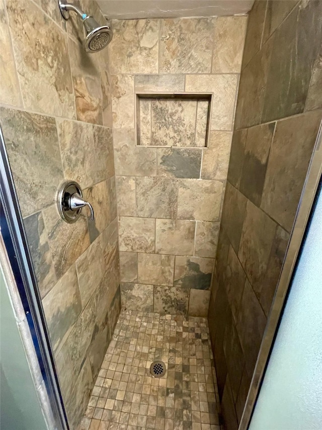 bathroom with a stall shower