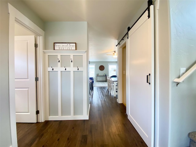 hall featuring a barn door and dark wood finished floors