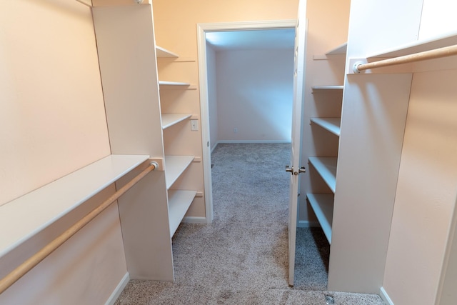 walk in closet with carpet flooring