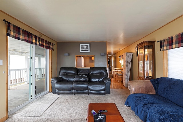 living area featuring a wealth of natural light and carpet flooring