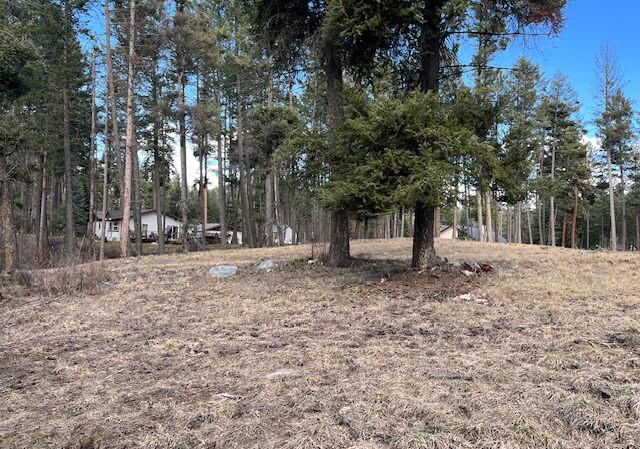 13962 Pine St, Bigfork MT, 59911 land for sale