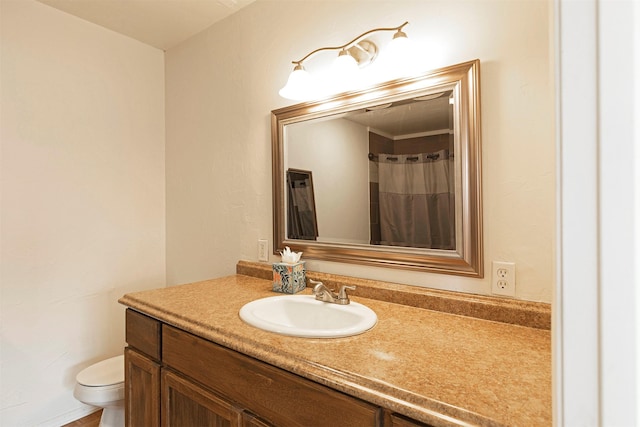 bathroom with toilet and vanity