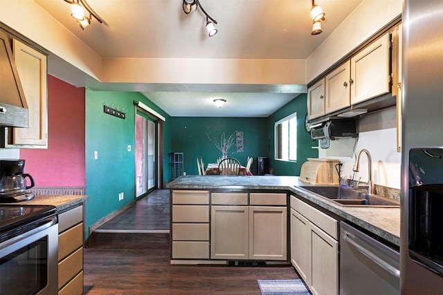 kitchen with a sink, ventilation hood, a peninsula, stainless steel appliances, and dark wood-style flooring