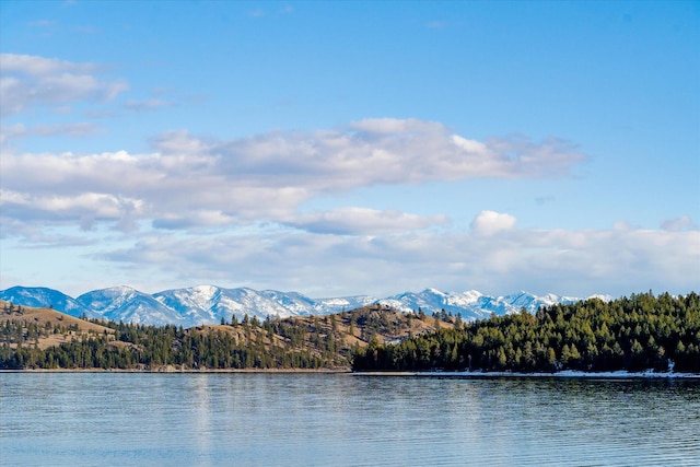 water view featuring a mountain view