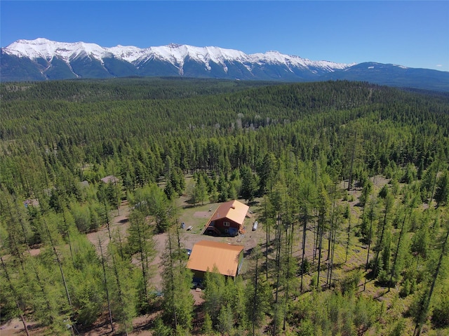 1081 Old Barn Rd, Seeley Lake, MT 59868 - aerial view of property and surrounding area with a heavily wooded area and a mountainous background