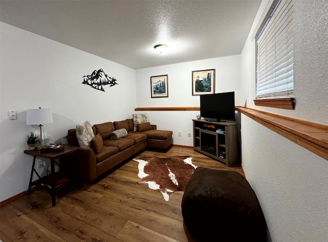 living room with wood finished floors, baseboards, and a textured ceiling