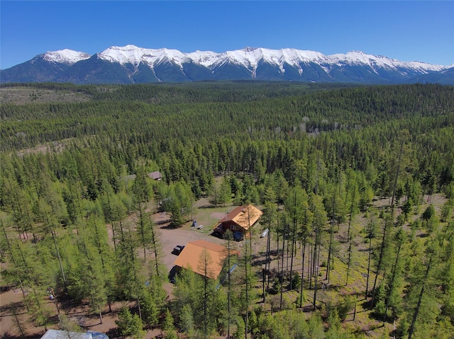 1081 Old Barn Rd, Seeley Lake, MT 59868 - aerial view of property and surrounding area with a heavily wooded area and a mountain backdrop