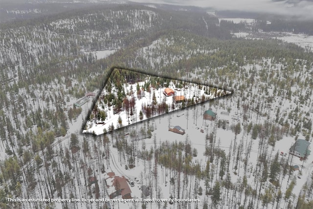1081 Old Barn Rd, Seeley Lake, MT 59868 - snowy aerial view featuring a mountain view and a forest view