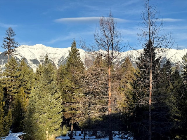 property view of mountains featuring a forest view