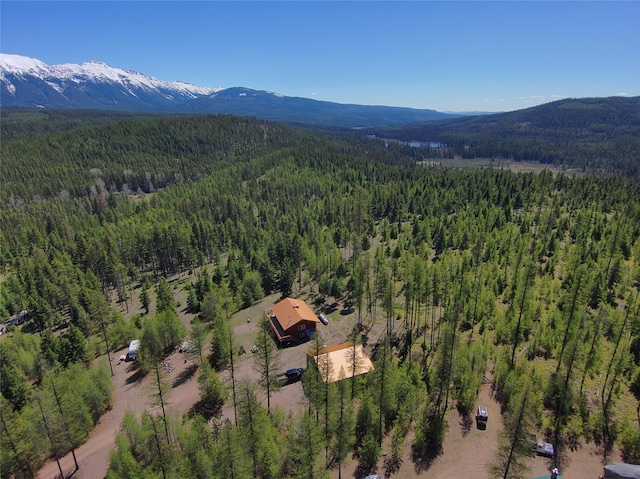 1081 Old Barn Rd, Seeley Lake, MT 59868 - drone / aerial view of a forest and mountains
